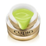 Cumpara ieftin Gel color ultra pigmentat Cupio Avocado