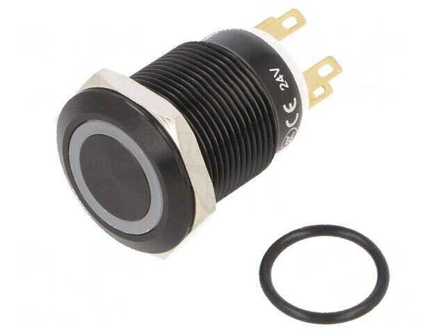 Comutator anti-vandalism SPDT 3A/220VAC 5A/24VDC IP65