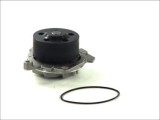 Pompă de apă, răcire motor FIAT PUNTO (188_) (1999 - 2012) THERMOTEC D1D019TT