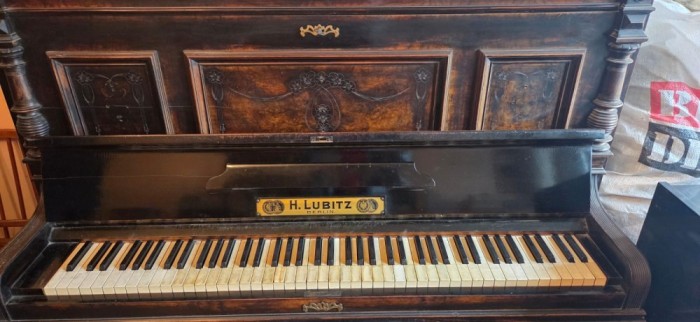 Pianina Lubitz, Viena, functionala