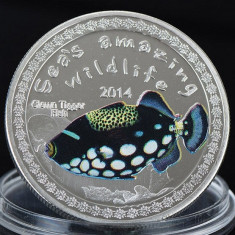 Burundi 5000 franci 2014 UNC Triggerfish UV 40mm foto