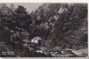 Bnk cp Stana de Vale - Valea Iadului - circulata, Printata, Bihor