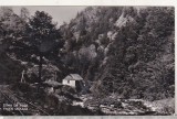 bnk cp Stana de Vale - Valea Iadului - circulata