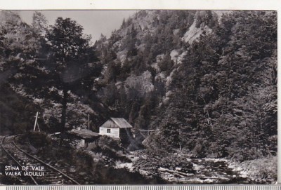 bnk cp Stana de Vale - Valea Iadului - circulata foto