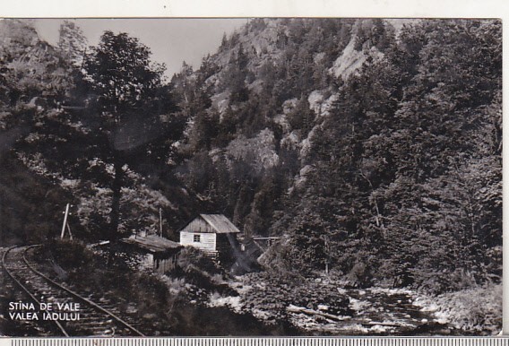 bnk cp Stana de Vale - Valea Iadului - circulata