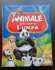 Animale din toată lumea