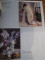 Foto  - 6