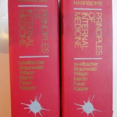 HARRISON'S PRINCIPLES OF INTERNAL MEDICINE , THIRTEENTH EDITION , VOL I - II de ISSELBACHER , BRAUNWALD , WILSON , MARTIN , FAUCI , KASPER , 1994