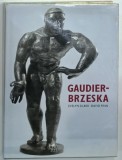 GAUDIER - BRZESKA , LIFE AND ART by EVELYN SILBER , 295 ILLUSTRATIONS , 1996