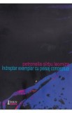 Indreptar exemplar cu peisaj conceptual - Petronella Sirbu Leomiza