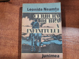 Curbura dubla a infinitului de Leonida Neamtu