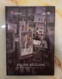 Ateliere Bacauane - Portrete de artisti