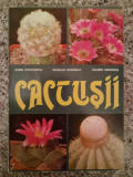 Cactusii - Sorin Copacescu, Bogdan Bobirnac, Valeriu Grigoras,553335