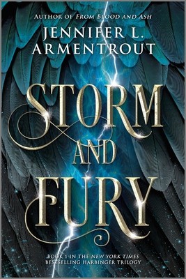 Storm and Fury foto
