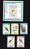 antigua pasari mnh