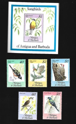 antigua pasari mnh foto
