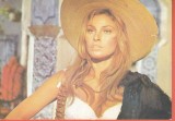 AS - C.P. RAQUEL WELCH - COLECȚIA CASA FILMULUI, NECIRCULATĂ (STAREA CARE SE VEDE)