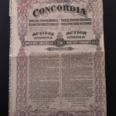 Actiune 1924 petrol soc. CONCORDIA , titlu , actiuni