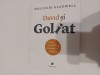 David si Goliat Malcom Gladwell
