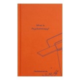 Cumpara ieftin What Is Psychotherapy? (Essay Books)