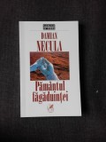 PAMANTUL FAGADUINTEI - DAMIAN NECULA