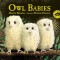 Owl Babies