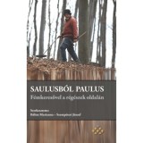 Saulusb&oacute;l Paulus - F&eacute;mkeresővel a r&eacute;g&eacute;szek oldal&aacute;n