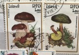(B ) Timbre serii Straine Flora Ciuperci Lao, Stampilat