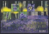Belgia 2017 - Flora - HYACINTHUS - BL XL - MNH