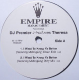Vinil Theresa &ndash; I Want To Know Ya Better 12&quot; (VG+), Rap