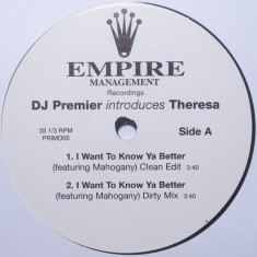 Vinil Theresa – I Want To Know Ya Better 12" (VG+)