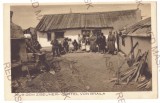 3543 - BRAILA, Ethnic GYPSY, Romania - old postcard - unused