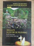 Silvan Theodorescu - Moaste si locuri de pelerinaj in Romania si in tarile din jur