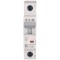 Siguranta automata 6A 1P C 4,5ka Xpole Eaton HL-C6 1
