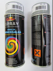 Spray vopsea Profesional CHAMPION RAL 7046 Gri 400ml foto