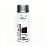 Vopsea Spray Brilliante Cauciucata (Argintiu) 400 ml