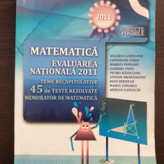 MATEMATICA EVALUAREA NATIONALA 2011 TEME RECAPITULATIVE 45 TESTE - Gornoava