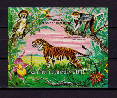 ✅(C44) 1977 Comore , &amp;quot; Animale salbatice&amp;quot; colita 76B nedantelata , stampilat foto