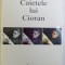 CAIETELE LUI CIORAN de LIVIUS CIOCARLIE , 1999
