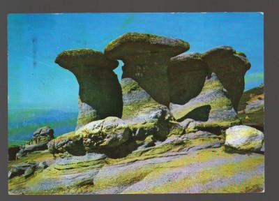 CPIB 17798 CARTE POSTALA - MUNTII BUCEGI. &amp;quot;BABELE&amp;quot; foto