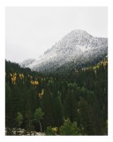 Tablou Canvas Natură Munți Pădure Zăpadă Toamnă Iarnă, 26 x 39 cm, CMCLASS