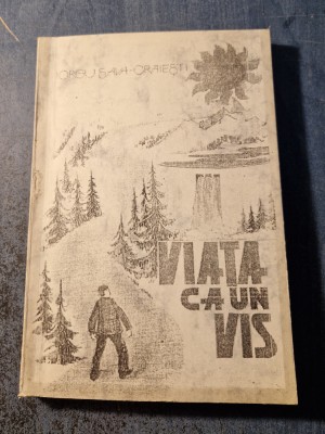 Viata ca un vis Iorgu Sava Craiesti foto