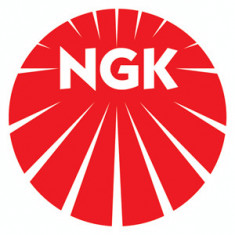 Glow Plug Oe Ngk Y-923U