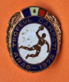 Handbal - Trofeul Carpati - Arad 1979 - insigna RARA