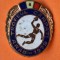 Handbal - Trofeul Carpati - Arad 1979 - insigna RARA