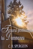 Tezaurul promisiunilor lui Dumnezeu. Meditatii pentru fiecare zi - C. H. Spurgeon