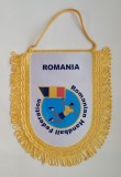 Fanion Handball Federation of Romania