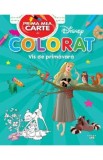 Prima mea carte de colorat. Vis de primavara