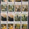 Fujeira 1967 pictura MI 198-205 A+B MNH