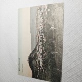 Carte postala Deva
